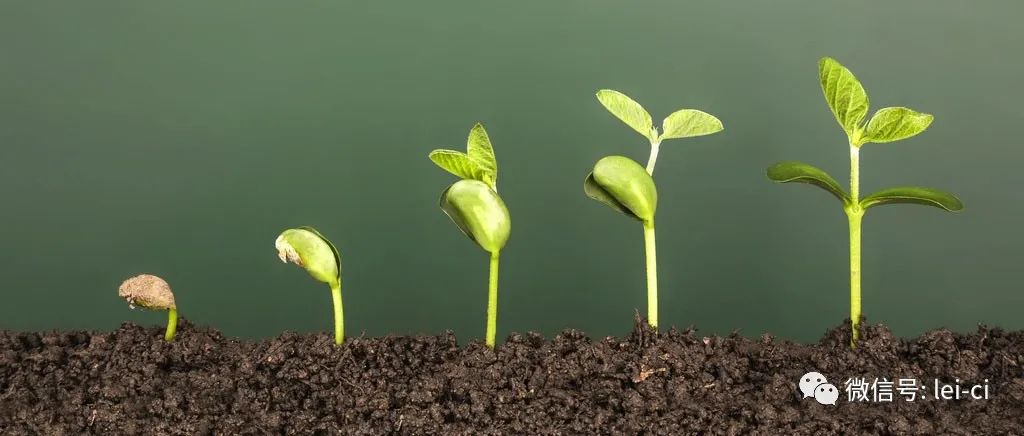 土壤是酸是堿，一測便知(圖2)