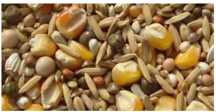 糧食作物飼料生產(chǎn)檢驗(yàn)實(shí)驗(yàn)室儀器設(shè)備清單(圖1) 糧食作物飼料生產(chǎn)檢驗(yàn)實(shí)驗(yàn)室儀器設(shè)備清單(圖1)