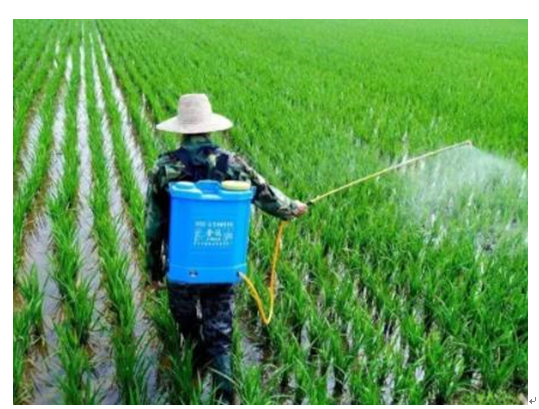 有機(jī)磷農(nóng)藥檢測方法有哪些？ (圖1)