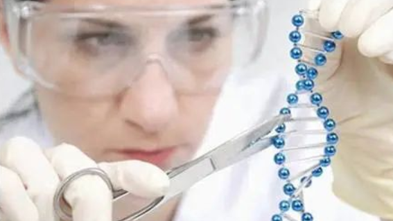 生物技術(shù)實(shí)驗(yàn)室儀器設(shè)備配置清單(圖1) 生物技術(shù)實(shí)驗(yàn)室儀器設(shè)備配置清單(圖1)