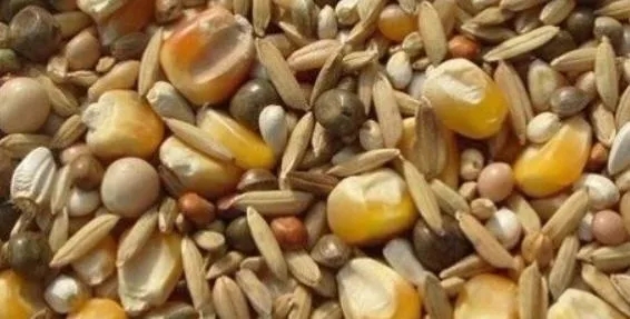 1.webp.jpg 谷物飼料廠實(shí)驗(yàn)室儀器設(shè)備清單(圖1)