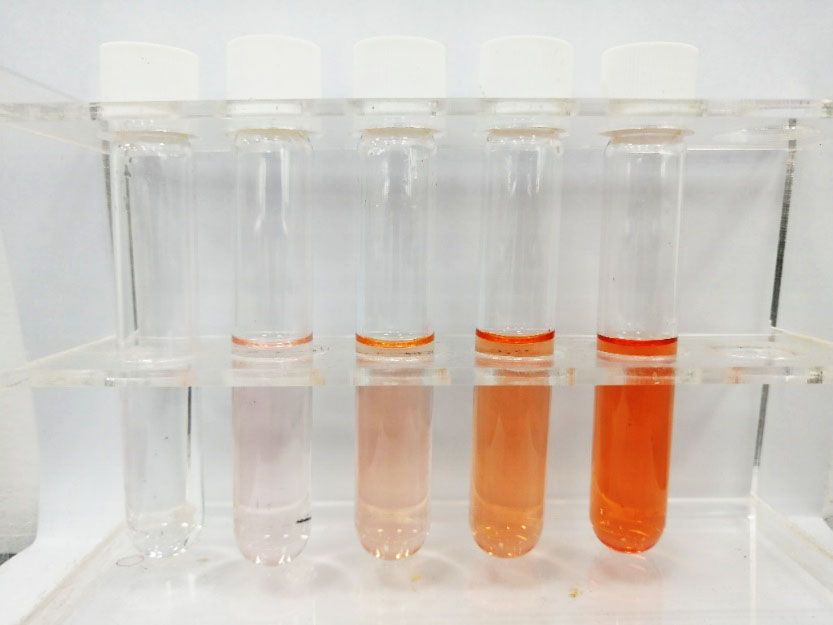 用多參數(shù)水質(zhì)分析儀測量水中鐵的含量詳細方法如下(圖4)